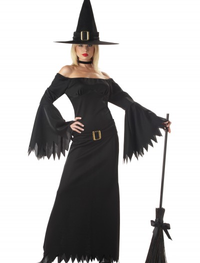 Adult Sexy Witch Costume, halloween costume (Adult Sexy Witch Costume)