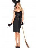 Adult Vintage Witch Costume, halloween costume (Adult Vintage Witch Costume)