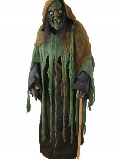Adult Witch Costume, halloween costume (Adult Witch Costume)