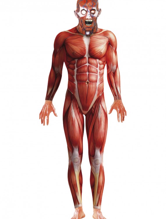 Anatomy Man Costume, halloween costume (Anatomy Man Costume)