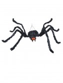 Animated Black Spider, halloween costume (Animated Black Spider)