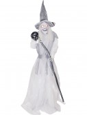 Animated Standing Ghostly Witch with Staff, halloween costume (Animated Standing Ghostly Witch with Staff)