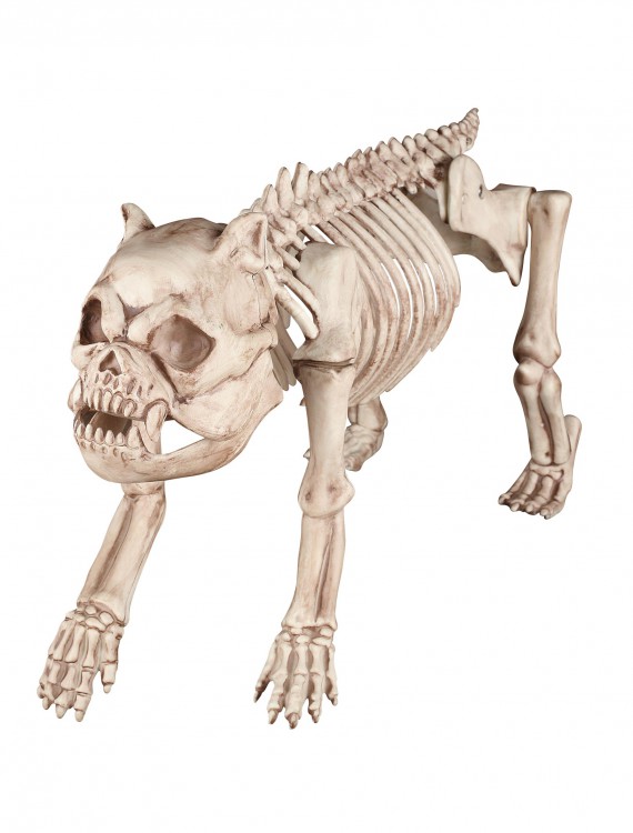 Bones the Hungry Hound Skeleton Dog, halloween costume (Bones the Hungry Hound Skeleton Dog)