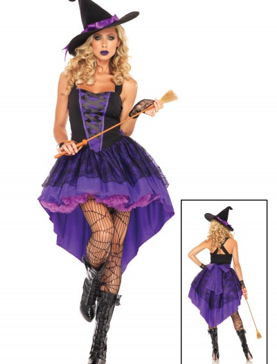 Broomstick Babe Witch Costume, halloween costume (Broomstick Babe Witch Costume)