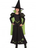 Child Wicked Witch of the West Costume, halloween costume (Child Wicked Witch of the West Costume)