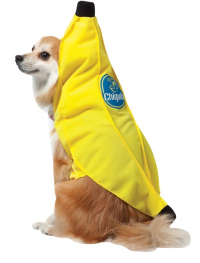 Chiquita Banana Dog Costume, halloween costume (Chiquita Banana Dog Costume)