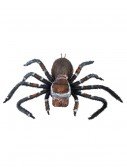 Creepy Crawler Tarantula, halloween costume (Creepy Crawler Tarantula)
