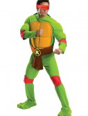 Deluxe Adult Raphael, halloween costume (Deluxe Adult Raphael)