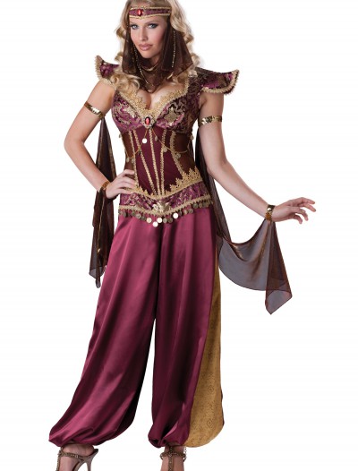 Desert Jewel Genie Costume, halloween costume (Desert Jewel Genie Costume)