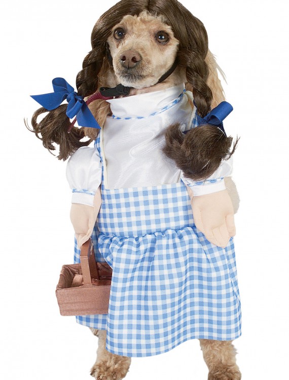 Dorothy Dog Costume, halloween costume (Dorothy Dog Costume)
