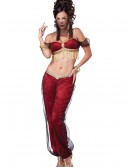 Women's Dreamy Genie Costume, halloween costume (Women's Dreamy Genie Costume)