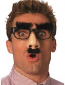 Funny Nose Glasses, halloween costume (Funny Nose Glasses)