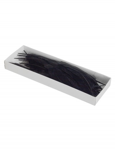 Glittered Feathers in a Box, halloween costume (Glittered Feathers in a Box)