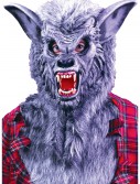 Grey Werewolf Mask, halloween costume (Grey Werewolf Mask)