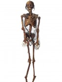 Hanging Rotted Skeleton, halloween costume (Hanging Rotted Skeleton)
