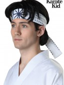 Karate Kid Daniel San Wig, halloween costume (Karate Kid Daniel San Wig)