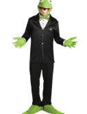 Kermit Costume, halloween costume (Kermit Costume)