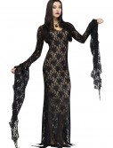 Lace Morticia Adult Costume, halloween costume (Lace Morticia Adult Costume)