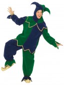 Mardi Gras Jester Costume, halloween costume (Mardi Gras Jester Costume)