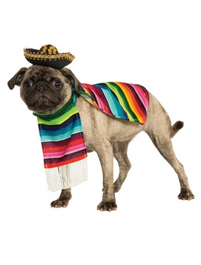 Mexican Serape Pet Costume, halloween costume (Mexican Serape Pet Costume)