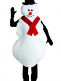Mr. Snowman Costume, halloween costume (Mr. Snowman Costume)