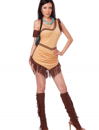 Native American Beauty Costume, halloween costume (Native American Beauty Costume)