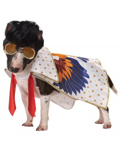 Nothin But A Hound Dog Costume, halloween costume (Nothin But A Hound Dog Costume)