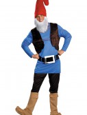 Papa Gnome Costume, halloween costume (Papa Gnome Costume)