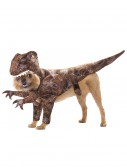 Pet Raptor Costume, halloween costume (Pet Raptor Costume)