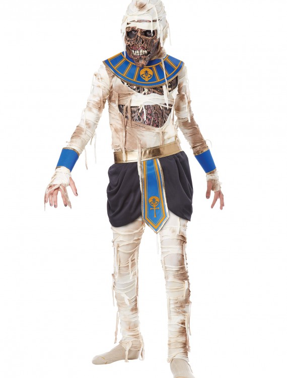 Child's Pharaoh's Revenge Costume, halloween costume (Child's Pharaoh's Revenge Costume)