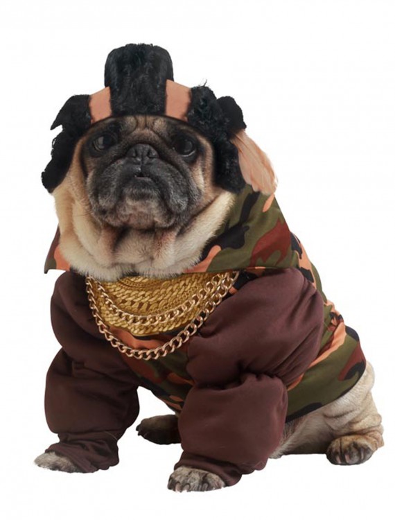 Pity the Fool Dog Costume, halloween costume (Pity the Fool Dog Costume)