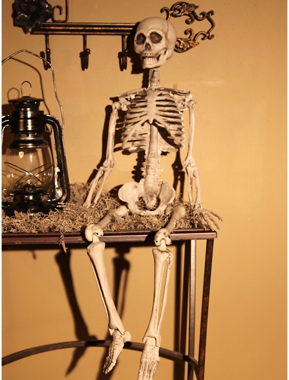 Plastic Realistic Skeleton, halloween costume (Plastic Realistic Skeleton)