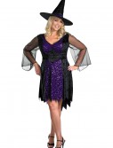 Plus Size Brilliant Witch Costume, halloween costume (Plus Size Brilliant Witch Costume)