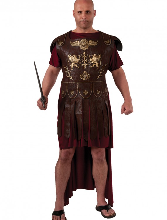 Plus Size Gladiator Costume, halloween costume (Plus Size Gladiator Costume)