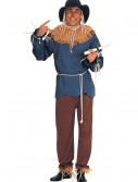 Plus Size Scarecrow Costume, halloween costume (Plus Size Scarecrow Costume)