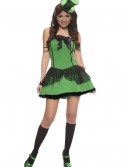 Plus Size Sexy Leprechaun Costume, halloween costume (Plus Size Sexy Leprechaun Costume)