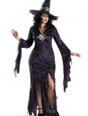 Plus Size Sorceress Costume, halloween costume (Plus Size Sorceress Costume)