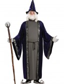 Plus Size Wizard Costume, halloween costume (Plus Size Wizard Costume)