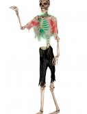 Posable Zombie Skeleton, halloween costume (Posable Zombie Skeleton)