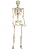 Pose-N-Stay Light Up Skeleton, halloween costume (Pose-N-Stay Light Up Skeleton)