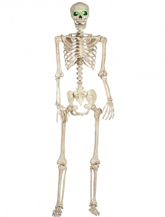 Pose-N-Stay Light Up Skeleton, halloween costume (Pose-N-Stay Light Up Skeleton)