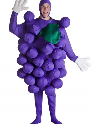 Purple Grapes Costume, halloween costume (Purple Grapes Costume)