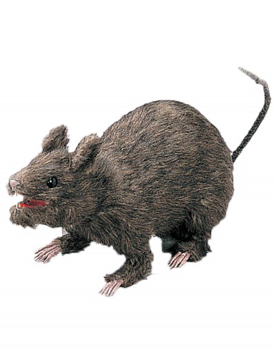 Realistic Large Attacking Rat, halloween costume (Realistic Large Attacking Rat)