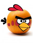 Red Angry Birds Pumpkin Kit, halloween costume (Red Angry Birds Pumpkin Kit)