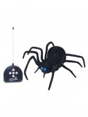 Remote Control Spider, halloween costume (Remote Control Spider)