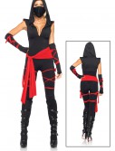 Sexy Deadly Ninja Costume, halloween costume (Sexy Deadly Ninja Costume)