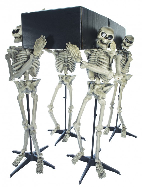 Skeleton Pall Bearers, halloween costume (Skeleton Pall Bearers)