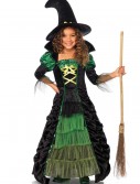 Storybook Witch Child Costume, halloween costume (Storybook Witch Child Costume)