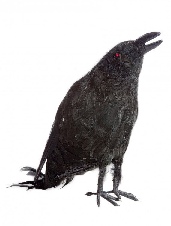 Talking Raven Prop, halloween costume (Talking Raven Prop)
