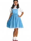 Wizard of Oz Dorothy Costume, halloween costume (Wizard of Oz Dorothy Costume)